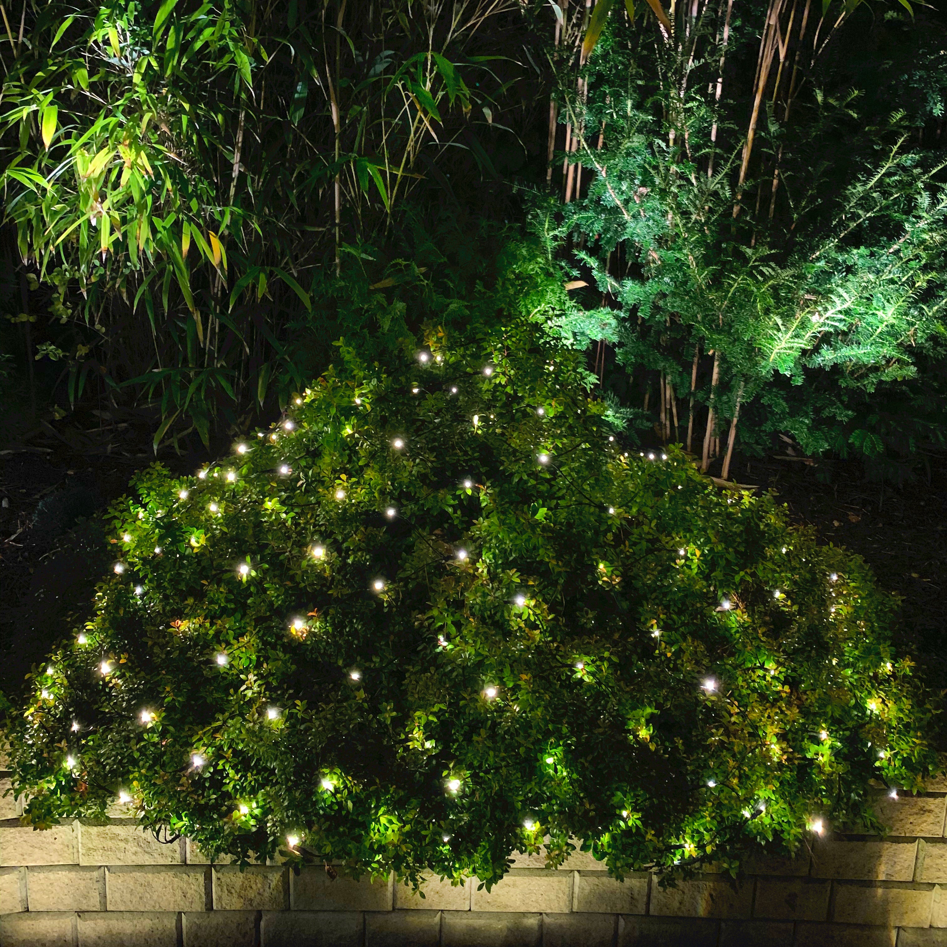 LightsOn Net 2 x 1,5m Ljusnät LED, Mörkgrön