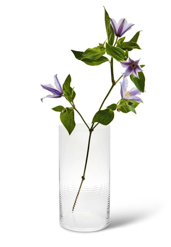 Spring Copenhagen Laine Vas 25 Cm, Klar