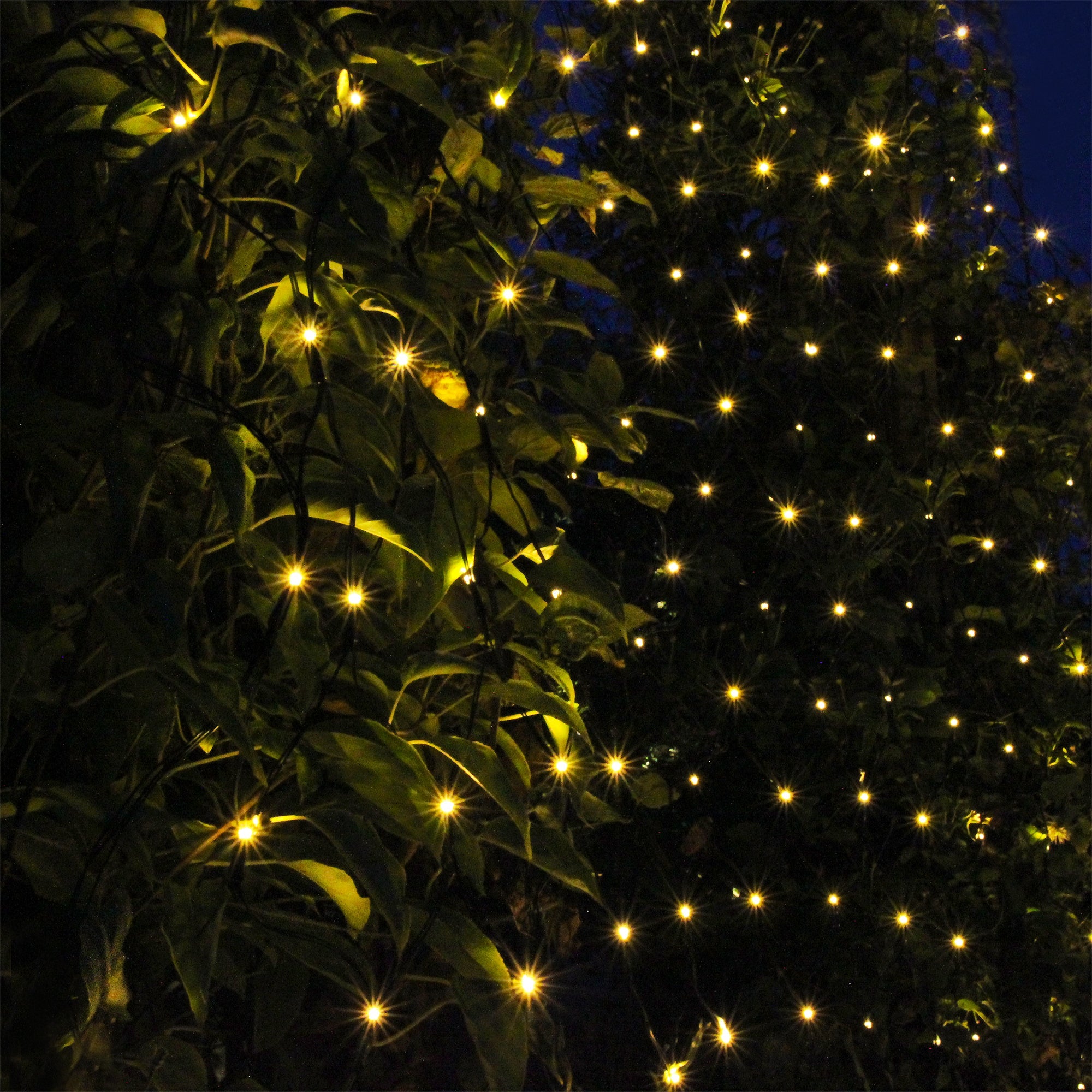 LightsOn Net 2 x 1,5m Ljusnät LED, Mörkgrön