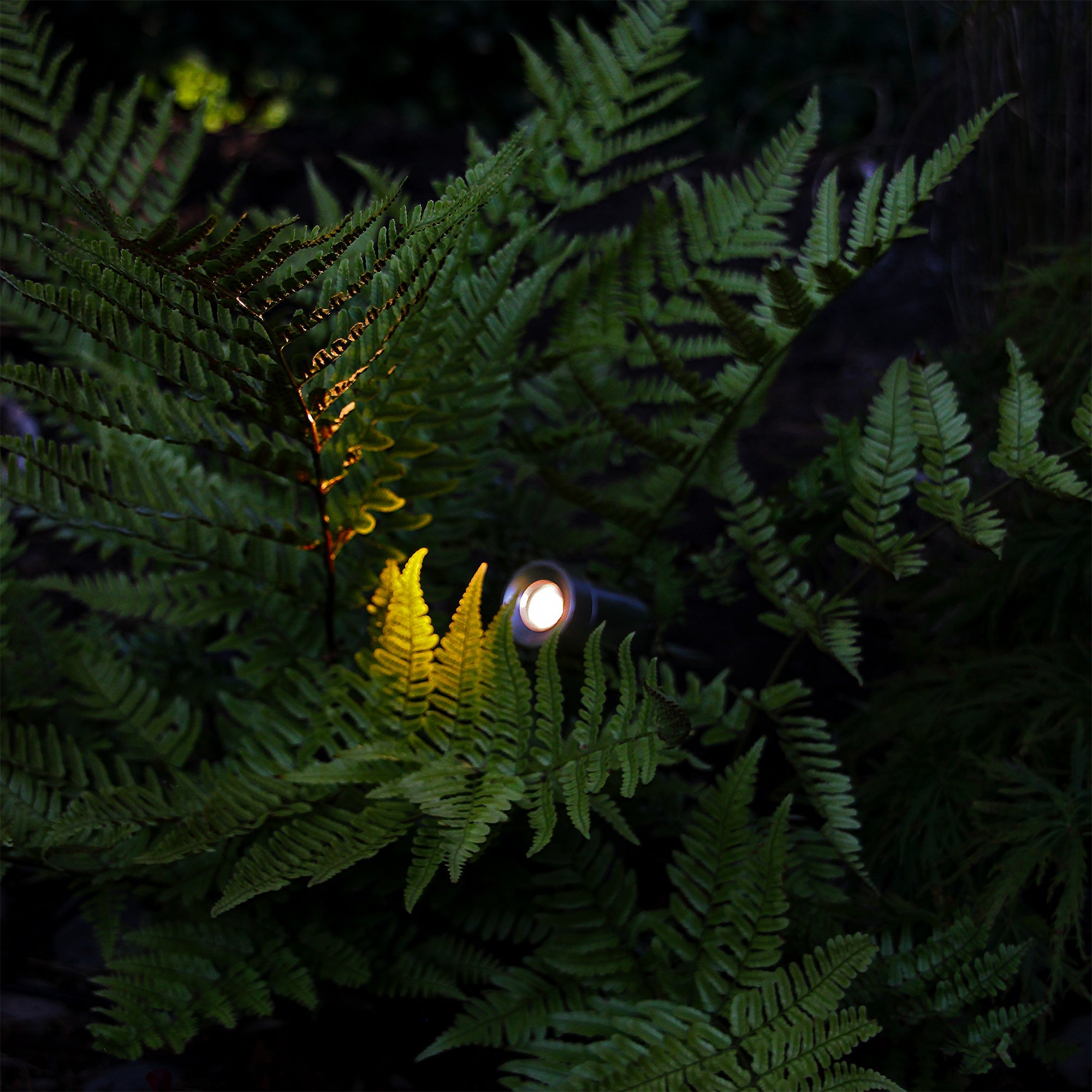LightsOn Optica Markspotlight LED