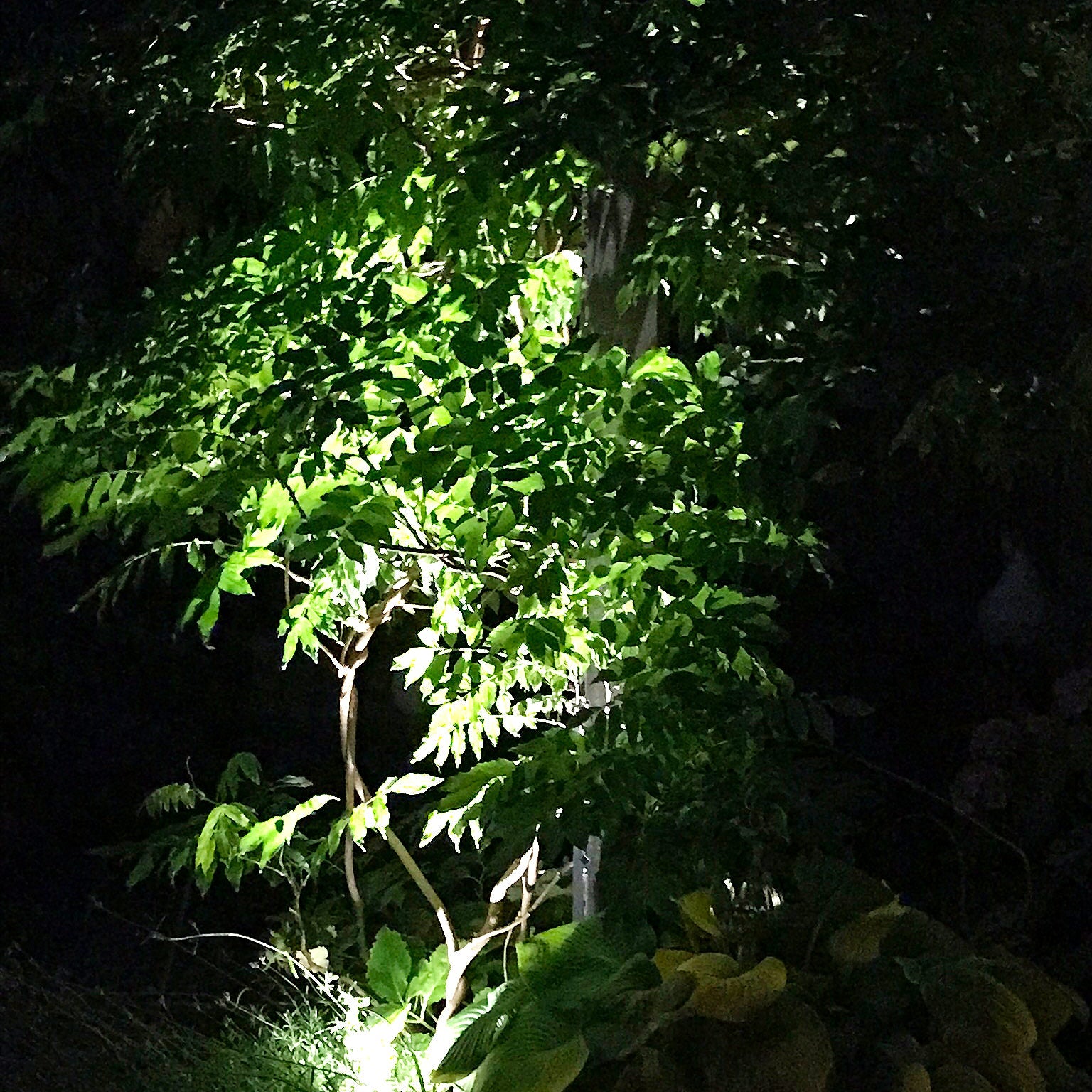 LightsOn Optica Markspotlight LED