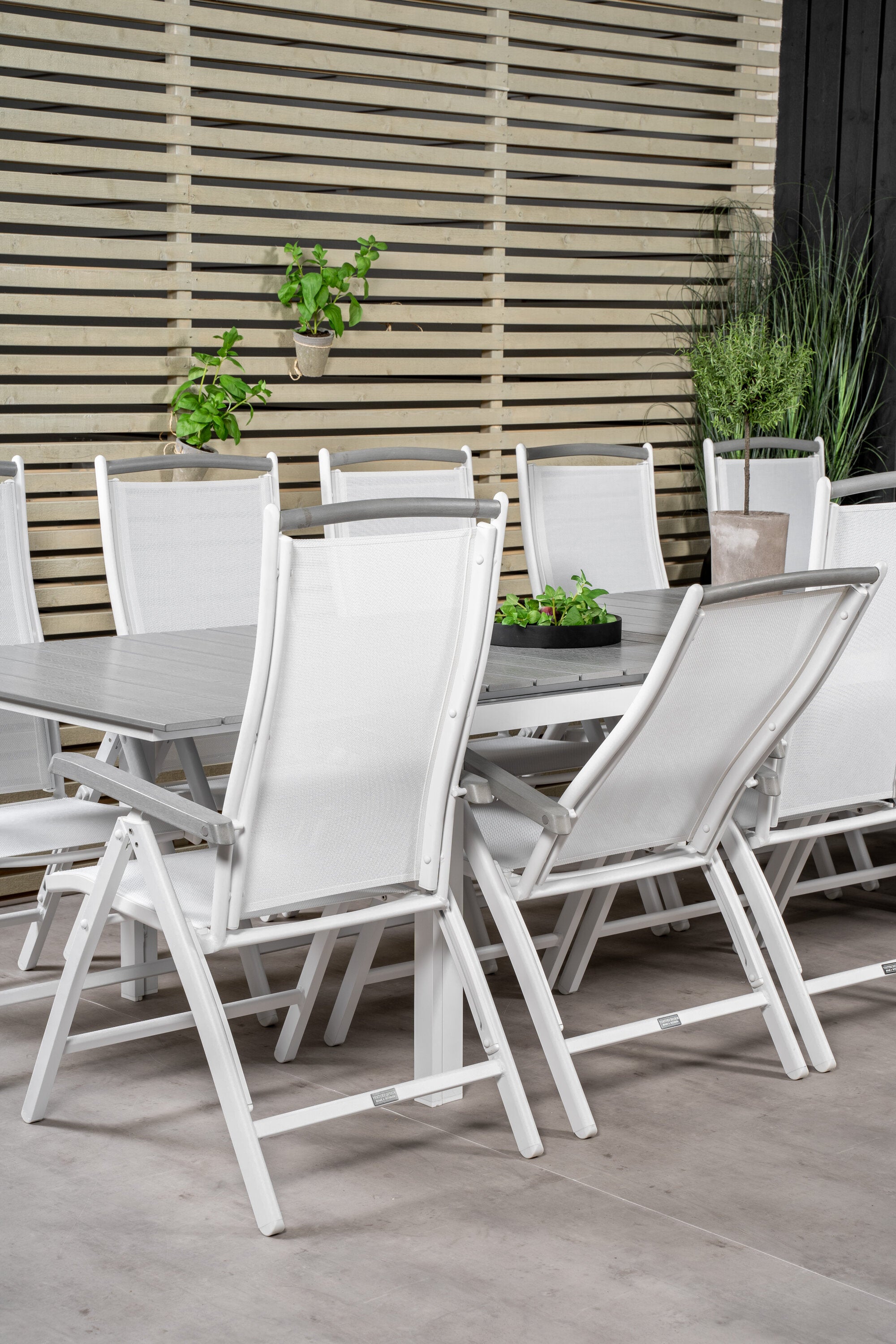 Venture Home Levels Matgrupp Med 10 Albany Stolar