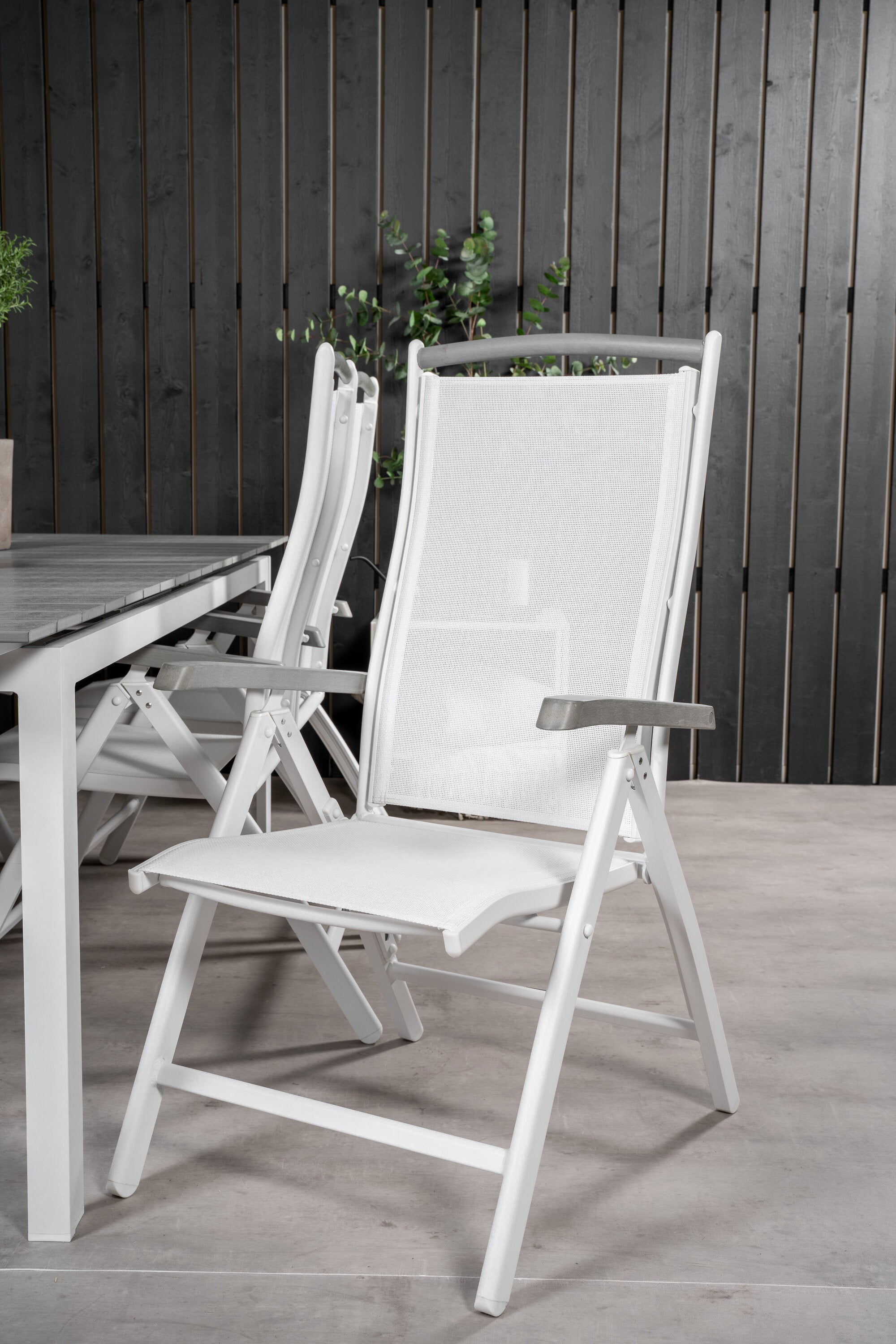 Venture Home Levels Matgrupp Med 10 Albany Stolar