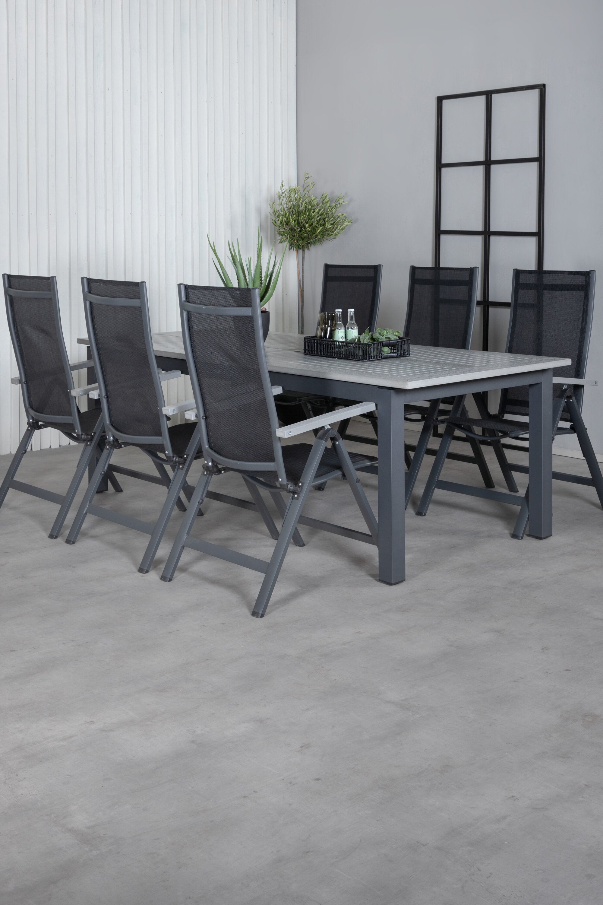 Venture Home Albany Matgrupp Med 6 Albany Stolar