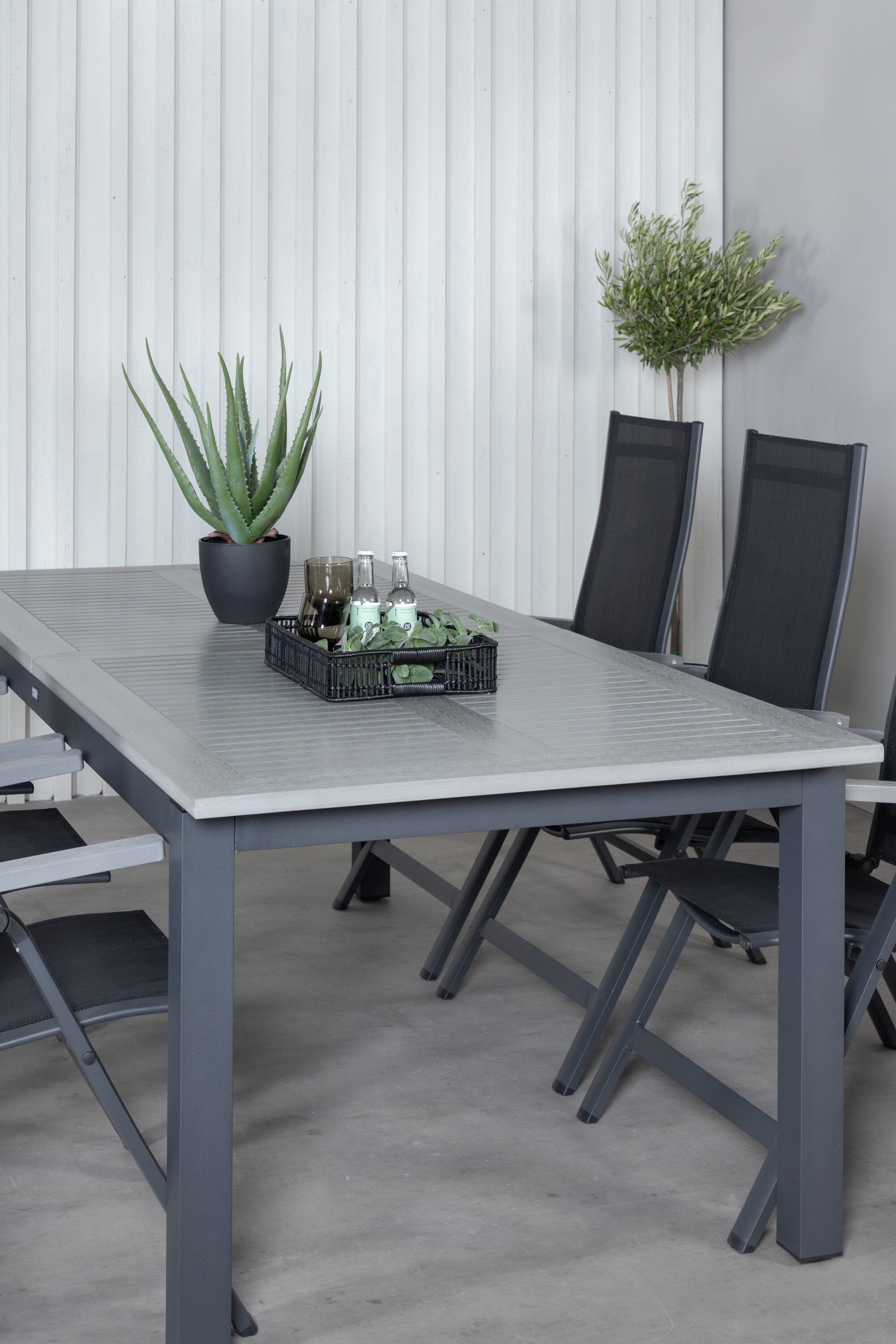 Venture Home Albany Matgrupp Med 6 Albany Stolar