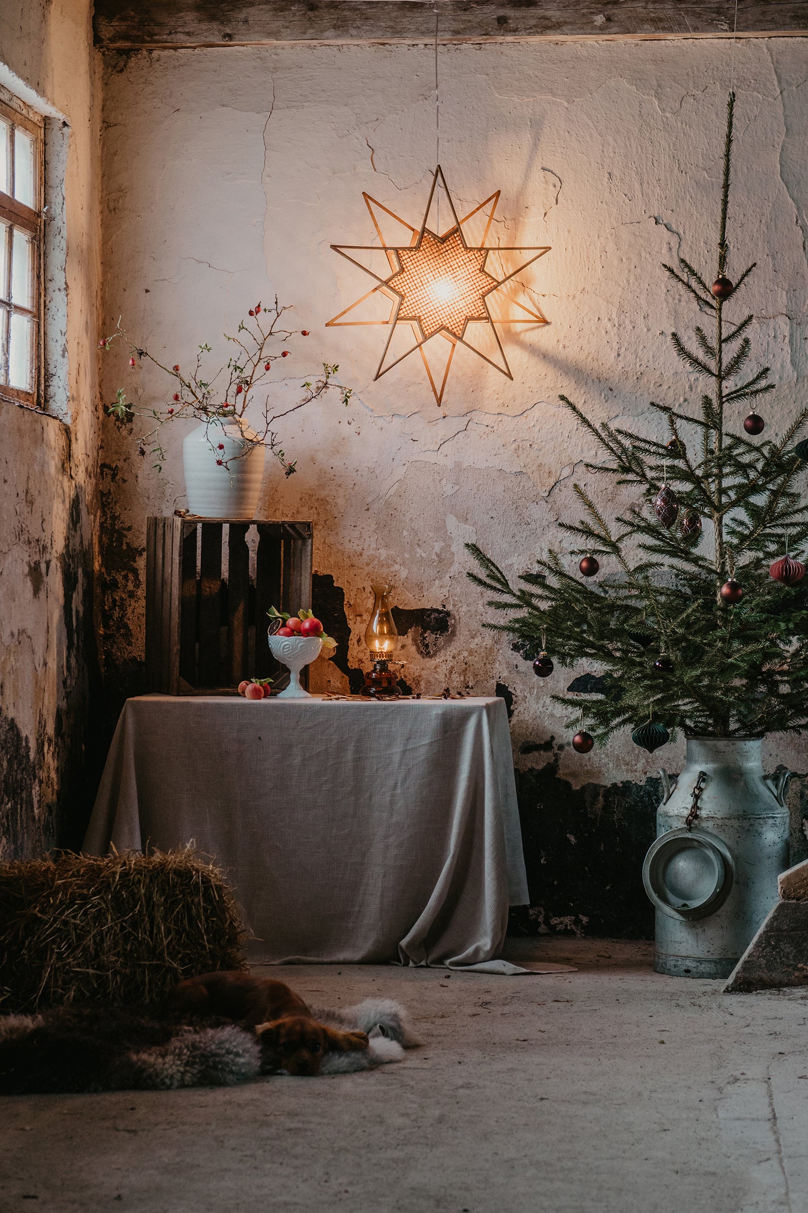 Globen Lighting Julstjärna Karin 70 Natur