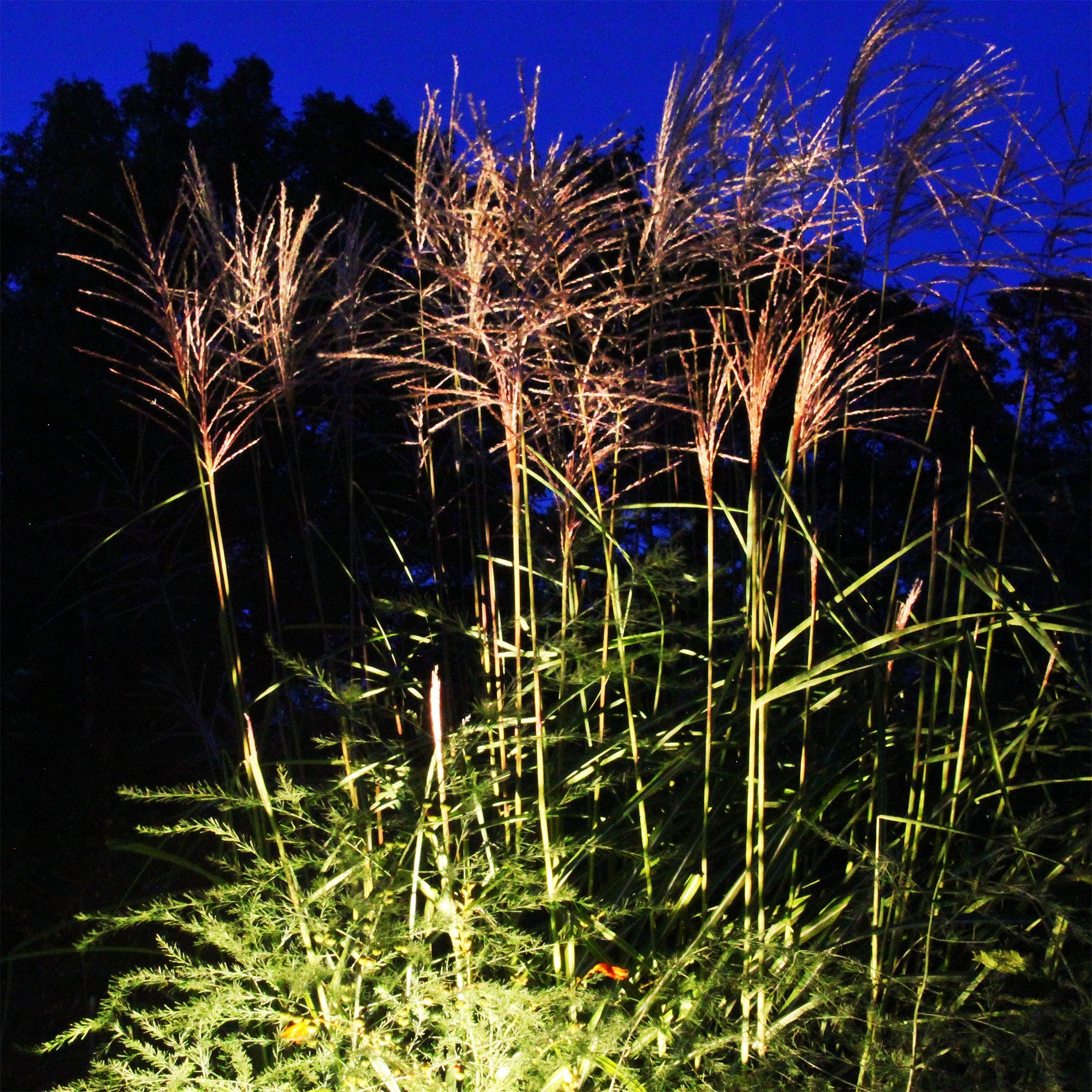 LightsOn Luna Start Marskpotlight LED, Mörkgrå