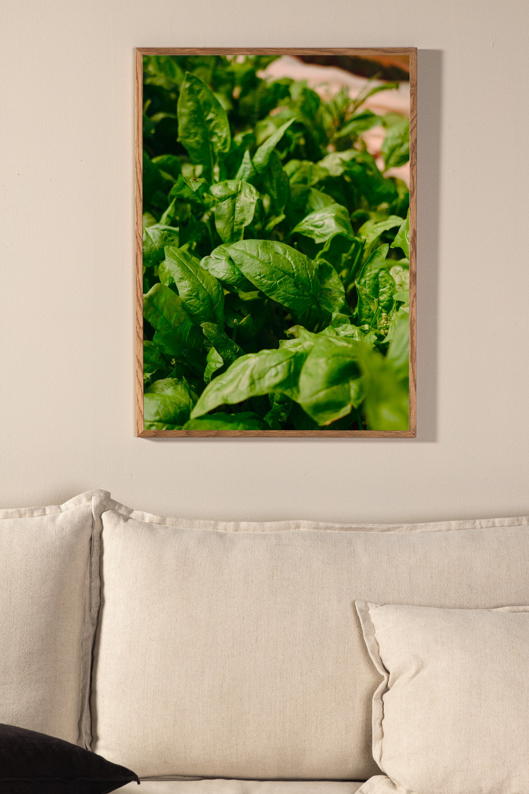 Venture Home Gree leaf Poster Grön 30 x 40 cm