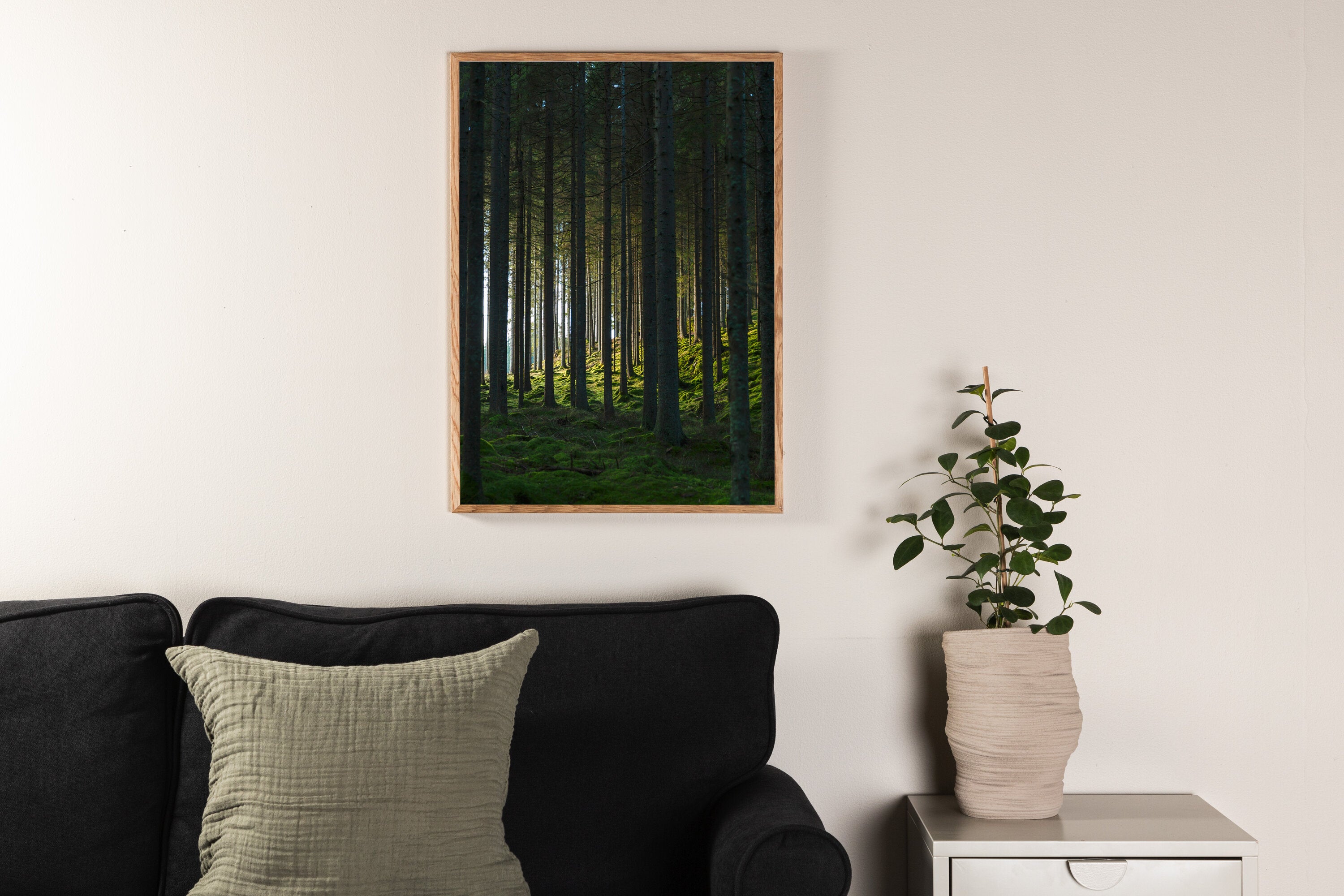 Venture Home Woods Poster Svart/Grön 21 x 30 cm