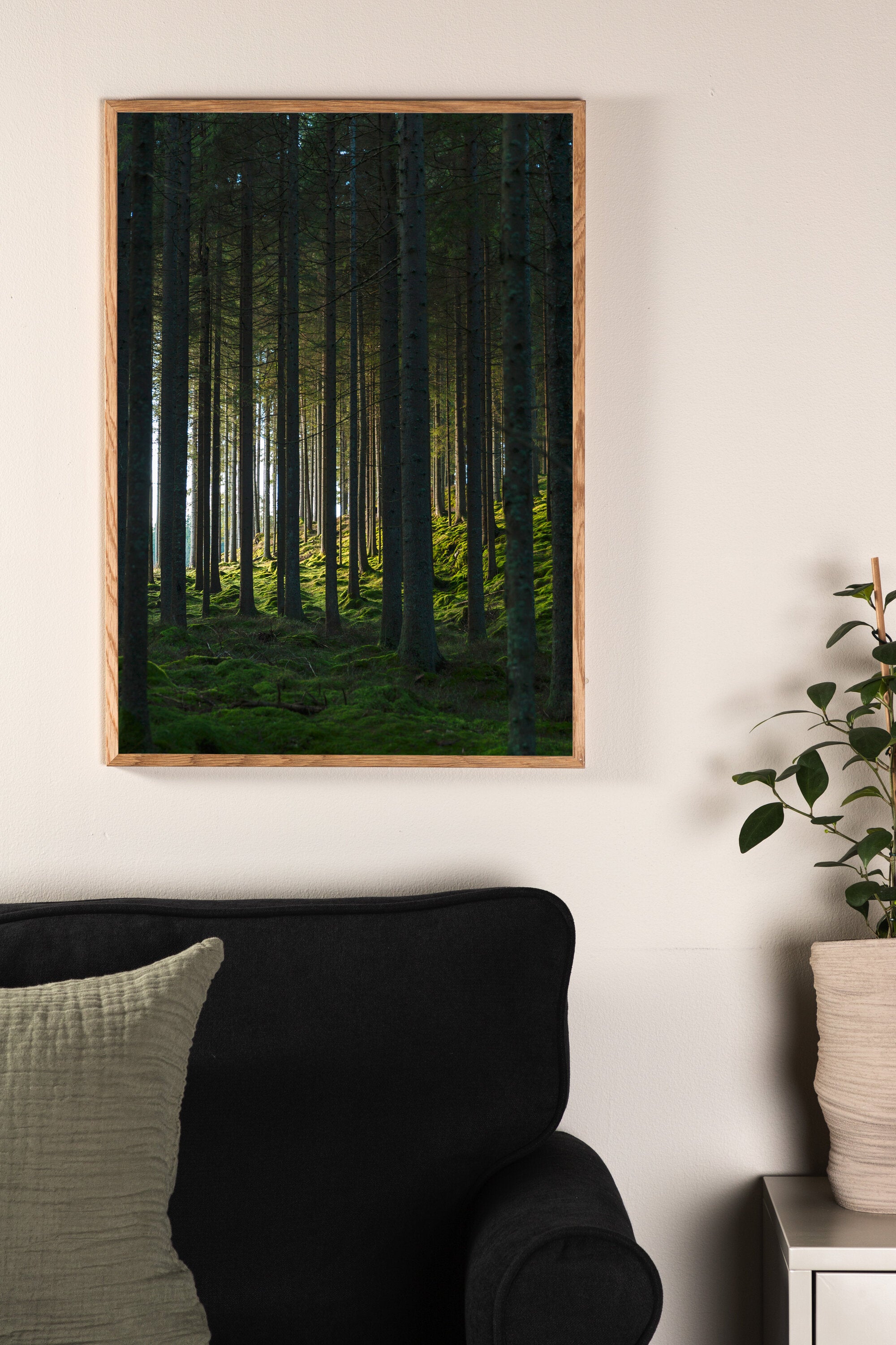 Venture Home Woods Poster Svart/Grön 21 x 30 cm